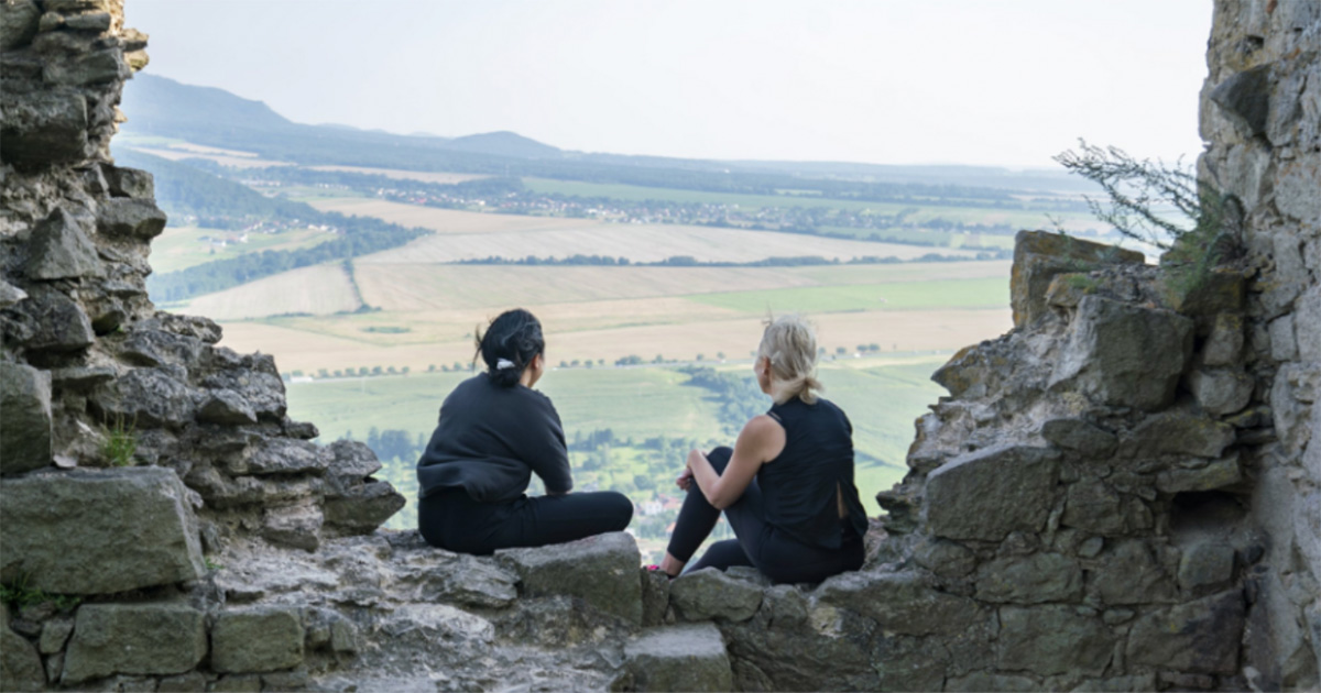 Amazing Opportunity for South African Expats in N. America to Visit Family Back Home