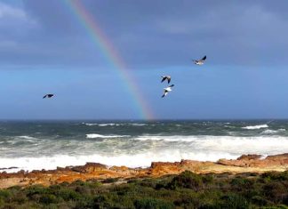 Coalition Wins in Lamberts Bay, Cederberg, and Vows to Fix ANC Damage First