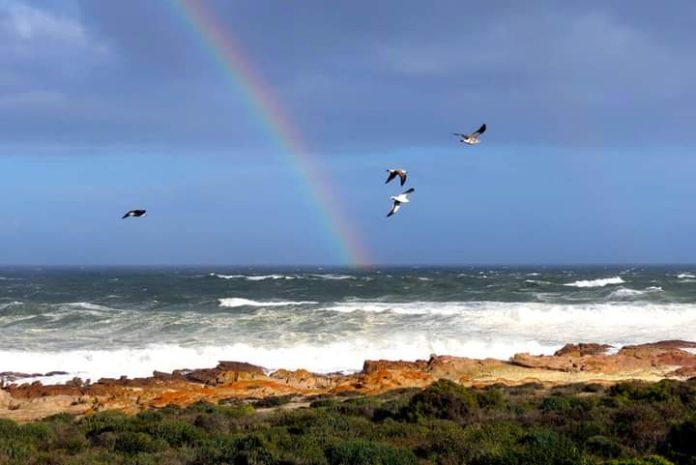 Lamberts Bay Coalition Coalition Wins in Lamberts Bay, Cederberg, and Vows to Fix ANC Damage First