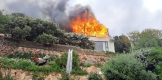 Oscar-Winning Octopus Teacher Filmmaker's Home Burns Down in Cape Town