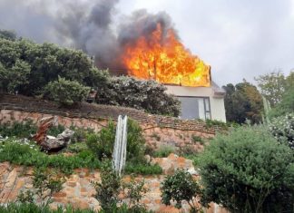 Oscar-Winning Octopus Teacher Filmmaker's Home Burns Down in Cape Town