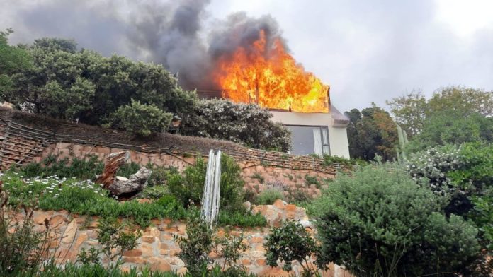 Octopus Teacher house fire Oscar-Winning Octopus Teacher Filmmaker's Home Burns Down in Cape Town
