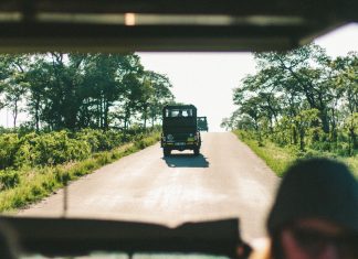 FEDHASA calls for enhanced safety measures around Kruger