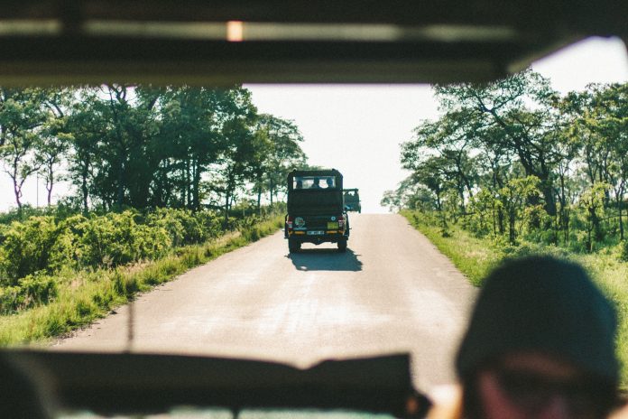 Photo by AnnaKate Auten on Unsplash FEDHASA calls for enhanced safety measures around Kruger