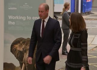 Prince William Pays Tribute to Queen and Late SA Ranger in Wildlife Speech