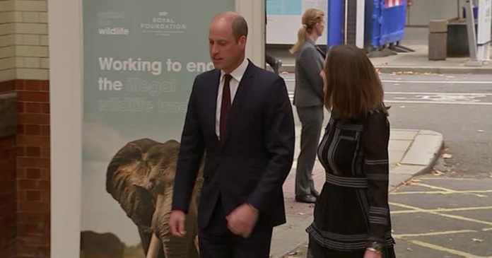 Prince-William-wildlife-speech Prince William Pays Tribute to Queen and Late SA Ranger in Wildlife Speech