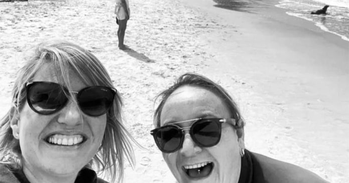 Seal-Attack Fish Hoek Beach Victims of Seal Attacks in Fish Hoek Alert Others and Reveal Human Inflicted Wounds Hurt More