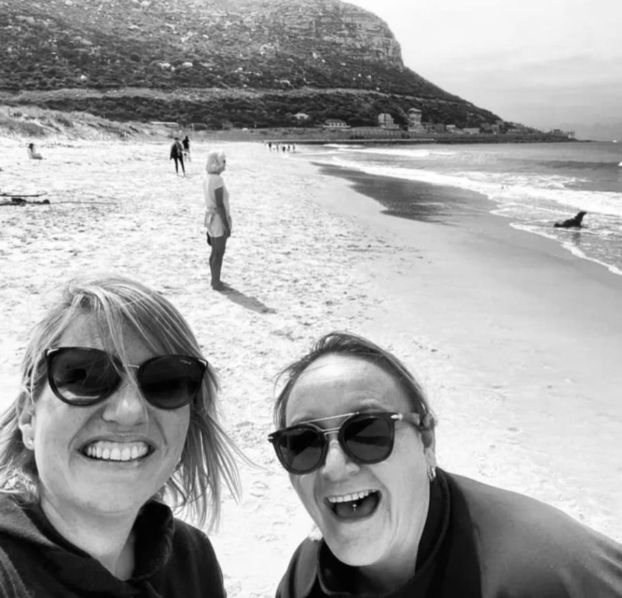 Victims of Seal Attacks in Fish Hoek Alert Others and Reveal Human Inflicted Wounds Hurt More