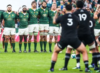 Springboks All Blacks