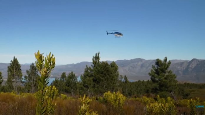 fynbos-carte-blanche Trees vs Fynbos Carte Blanche
