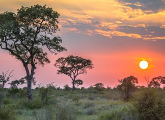 Kruger National Park sunset