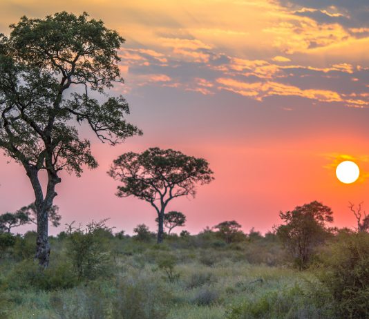 Kruger National Park sunset
