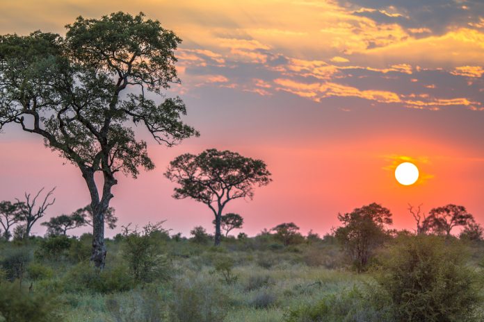 Manhunt Launched for Murder of German Tourist Outside Kruger National Park Manhunt Launched for Murder of German Tourist Outside Kruger National Park