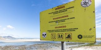 A recent fish die-off in the sewage-polluted Milnerton Lagoon was probably the result of growth of algae which depleted the oxygen in the water, says the City of Cape Town.
