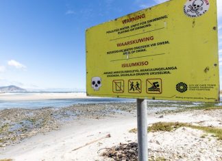 A recent fish die-off in the sewage-polluted Milnerton Lagoon was probably the result of growth of algae which depleted the oxygen in the water, says the City of Cape Town.