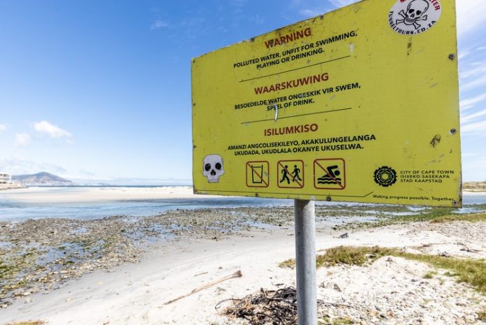 A recent fish die-off in the sewage-polluted Milnerton Lagoon was probably the result of growth of algae which depleted the oxygen in the water, says the City of Cape Town.
