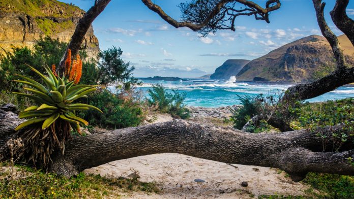 south-africa-beach-destinations-1 South Africa Beach Destinations for 2022