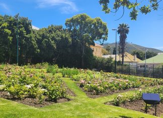 WC Premier Unveils Revived Leewenhof Gardens and Donates Fresh Vegetables