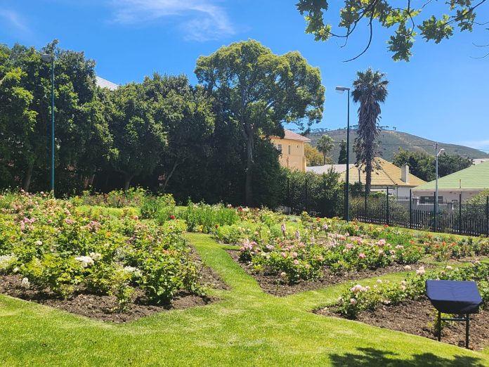 WC Premier Unveils Revived Leewenhof Gardens and Donates Fresh Vegetables
