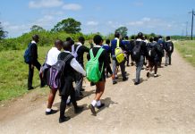LM Malgus Senior Secondary School learners walk about 20km to and from school every day because there is no scholar transport. Photo: Mkhuseli Sizani