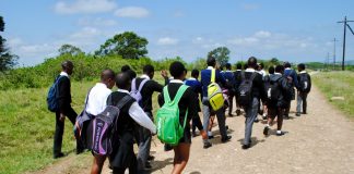 LM Malgus Senior Secondary School learners walk about 20km to and from school every day because there is no scholar transport. Photo: Mkhuseli Sizani