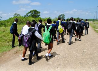 LM Malgus Senior Secondary School learners walk about 20km to and from school every day because there is no scholar transport. Photo: Mkhuseli Sizani