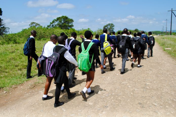 LM Malgus Senior Secondary School learners walk about 20km to and from school every day because there is no scholar transport. Photo: Mkhuseli Sizani LM Malgus Senior Secondary School learners walk about 20km to and from school every day because there is no scholar transport. Photo: Mkhuseli Sizani