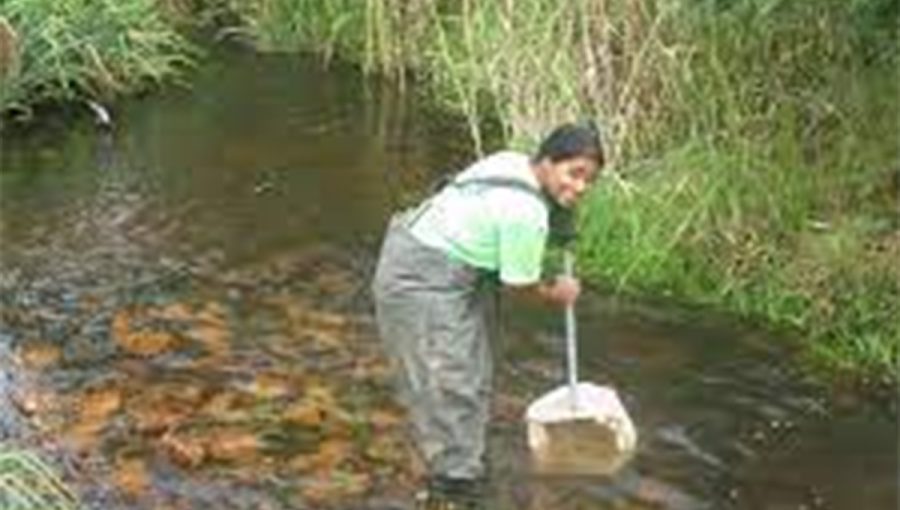 Cape-Town-accredited-Ramsar-Wetland-City