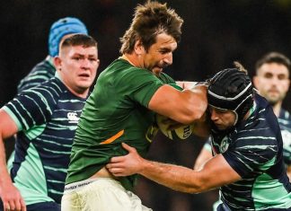 Springboks Beaten by Ireland in Dublin Nail-Biter