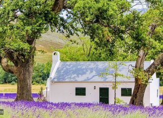 SA Michelin-Star Chef's JAN Franschhoek