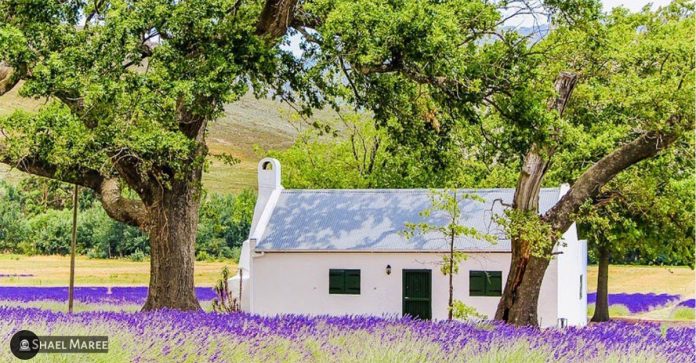 JAN-Franschhoek-s SA Michelin-Star Chef's JAN Franschhoek
