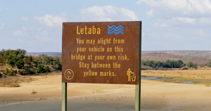 Letaba-Rest-Camp-Kruger-National-Park-iStock-983686708 Kruger Park Apologises for Overpowering Hum of Cicadas at Letaba Camp