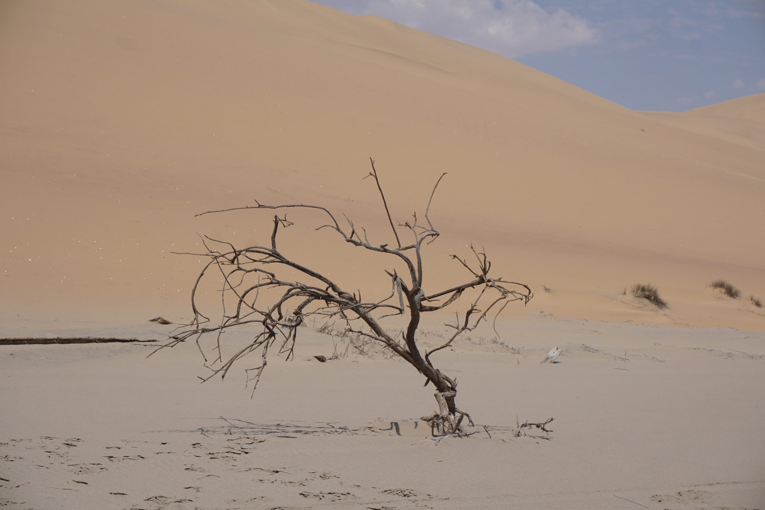 Namibia, Climate Change, African nature-Based Tourism Platform