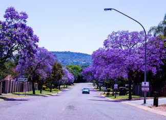 Pretoria
