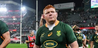 Springbok Kitshoff to Ulster