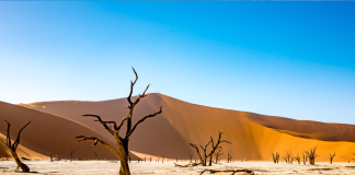 Namibia, Africa, Climate Change, African Nature-Based Tourism Platform