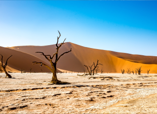 Namibia, Africa, Climate Change, African Nature-Based Tourism Platform