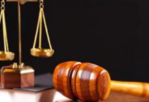 Estina dairy farm tax fraud trial gets underway