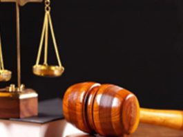 Estina dairy farm tax fraud trial gets underway