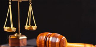 Estina dairy farm tax fraud trial gets underway