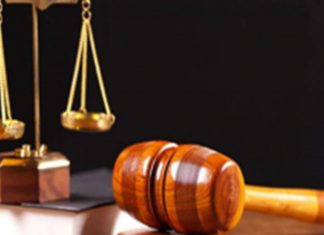 Estina dairy farm tax fraud trial gets underway