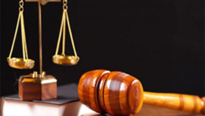 Estina dairy farm tax fraud trial gets underway Estina dairy farm tax fraud trial gets underway