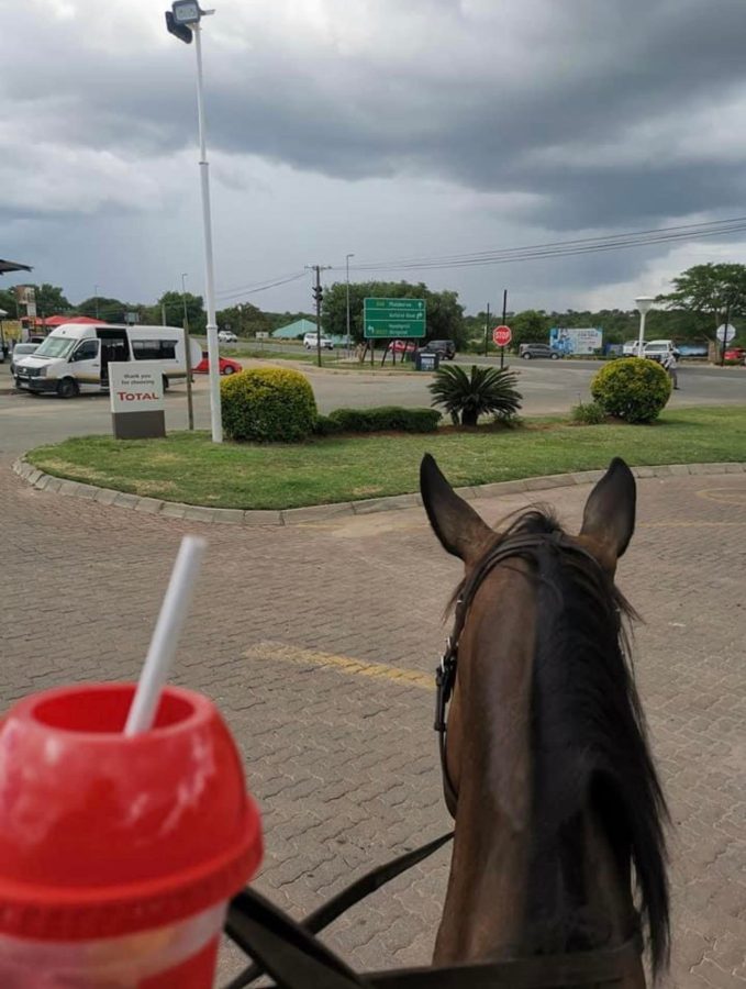 The 21 Rules of Hoedspruit