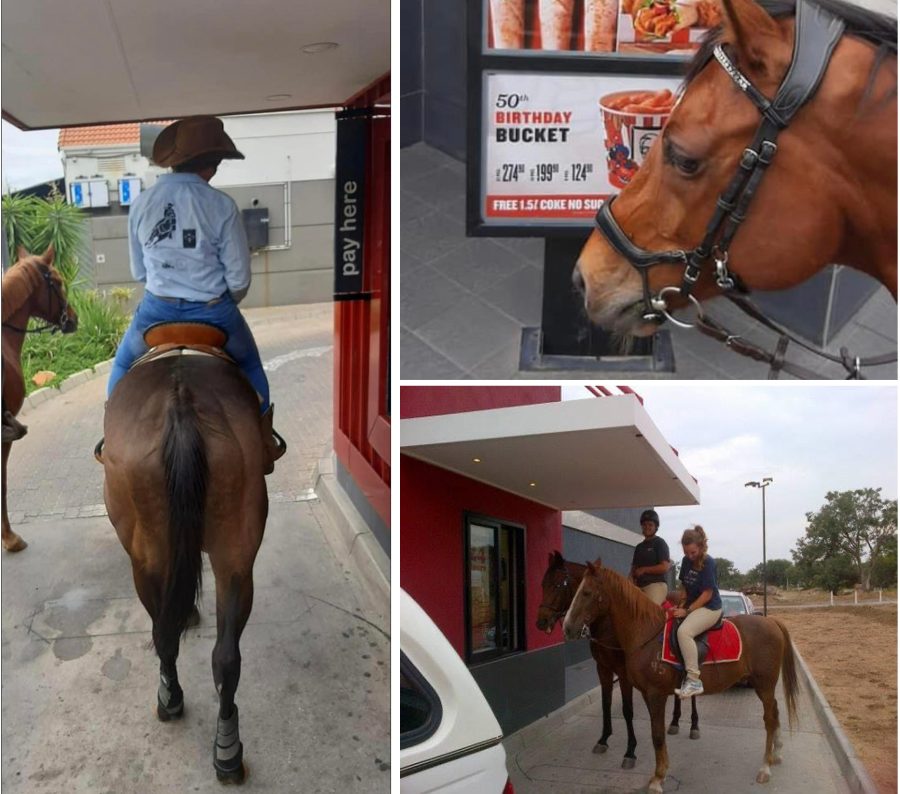Horses have right of way at the drive-thru in Hoedspruit