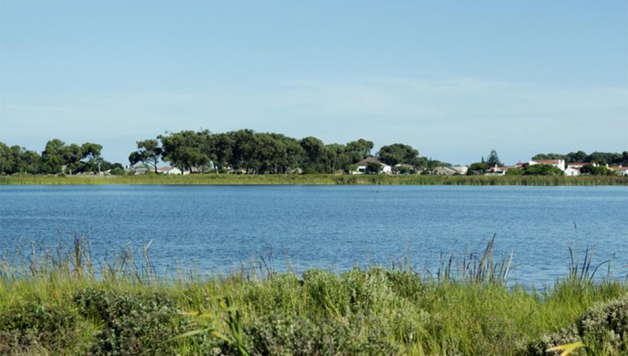 30 things the City has done to clean up Cape Town’s vleis, rivers and wetlands
