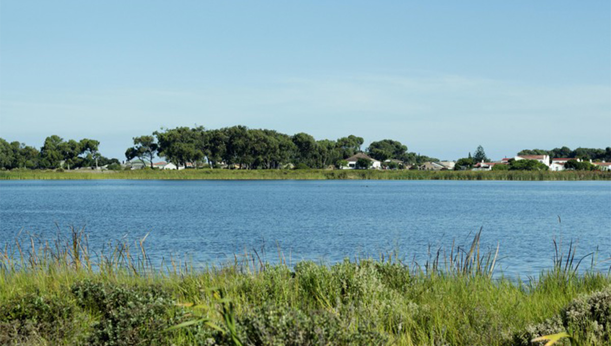 30 things the City has done to clean up Cape Town’s vleis, rivers and wetlands