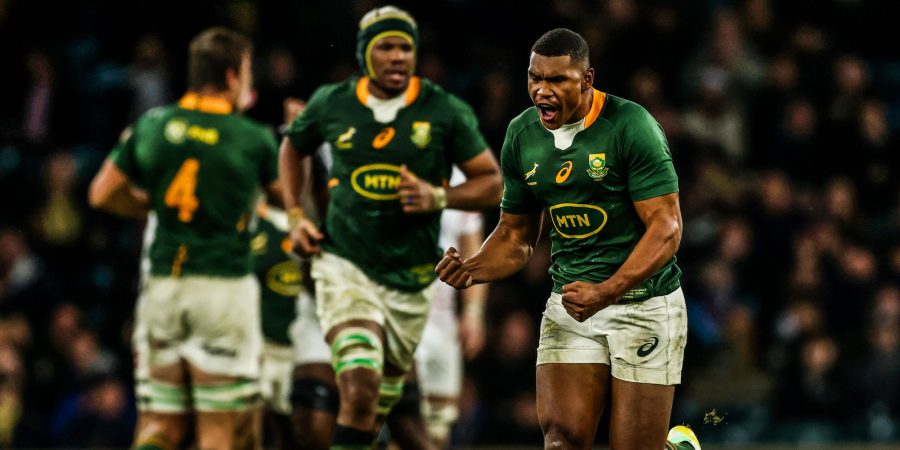 Damian Willemse scored two brilliant goals in the Test.