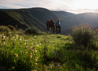There's Power in our Mountains, Lesotho. Photo by Casey Pratt, Love Africa Marketing