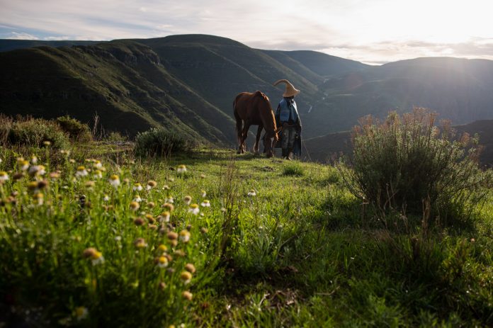 ‘There’s Energy in our Mountains’- introducing a brand new quick movie showcasing Lesotho – SAPeople