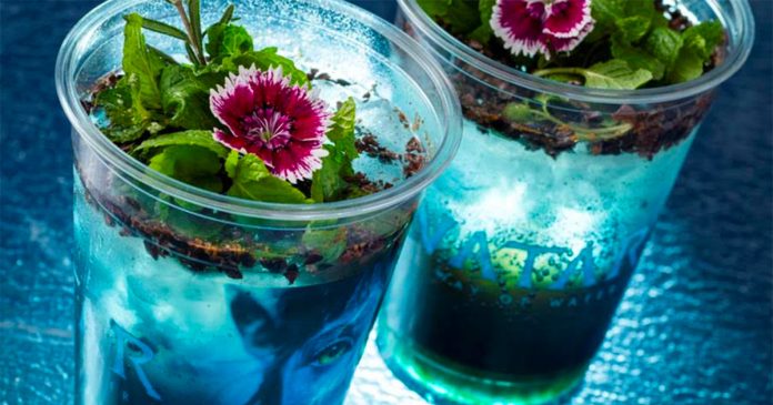 Avatar-Rooibos-juice Quench your thirst the Pandoran way: This is the Pandora-inspired drink that visitors to the Tokyo Disney Resort will be able to sample during the opening week of Avatar, Way of Water. One of the exotic flavours included in this otherworldly drink is none other than South African favourite, Rooibos. Patrons are in for a real treat as the drink can also be lit up to reflect the wonder of Pandora.